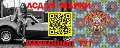 mdpv Новодвинск