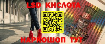 mdpv Новодвинск