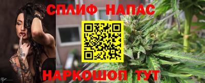 mdpv Новодвинск