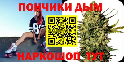 mdpv Новодвинск