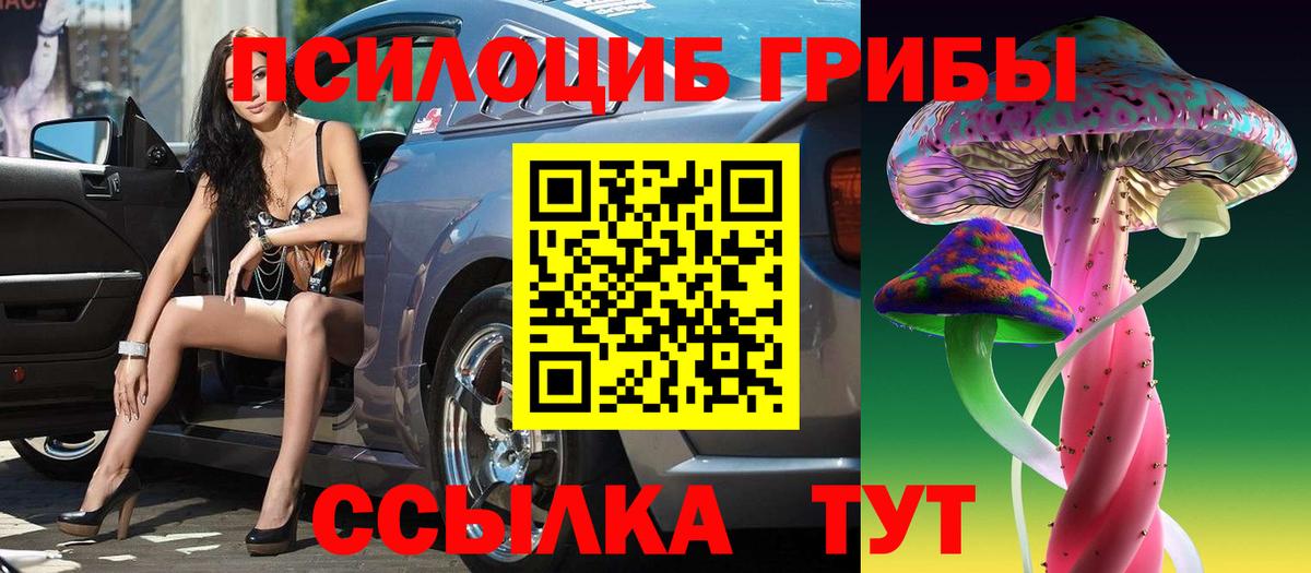 Галлюциногенные грибы MAGIC MUSHROOMS  сколько стоит  Советск  Вход с VPN 